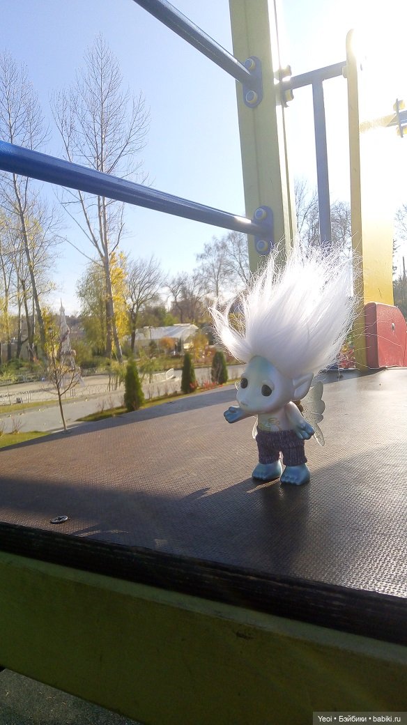 Солнечное утро и прогулка с зельфами. Zelfs