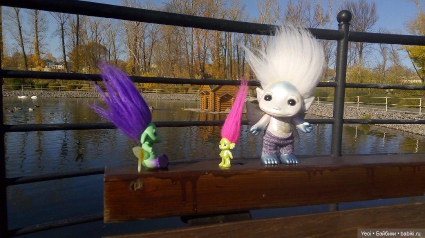 Солнечное утро и прогулка с зельфами. Zelfs