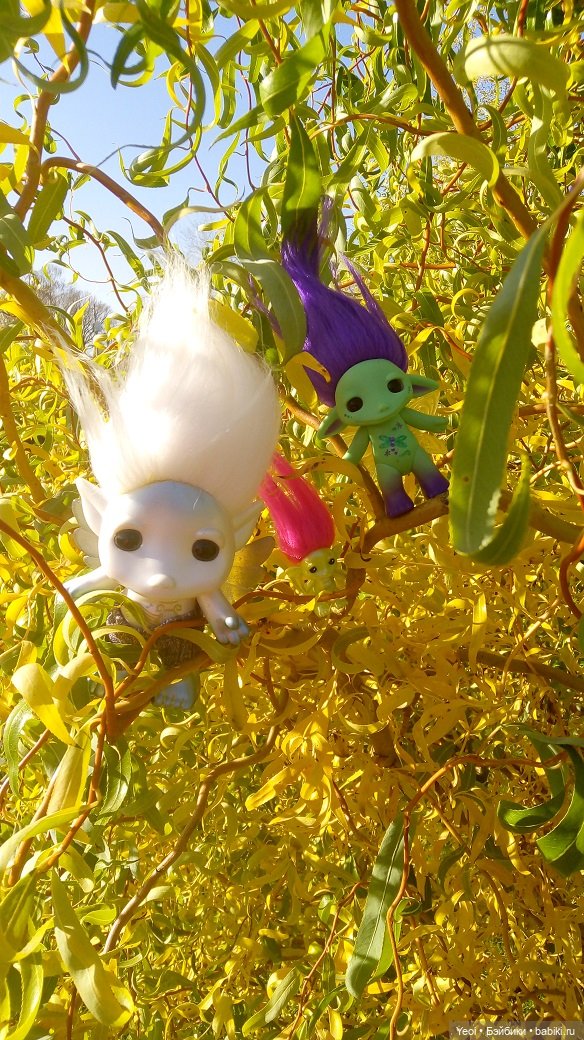 Солнечное утро и прогулка с зельфами. Zelfs (фото 10)