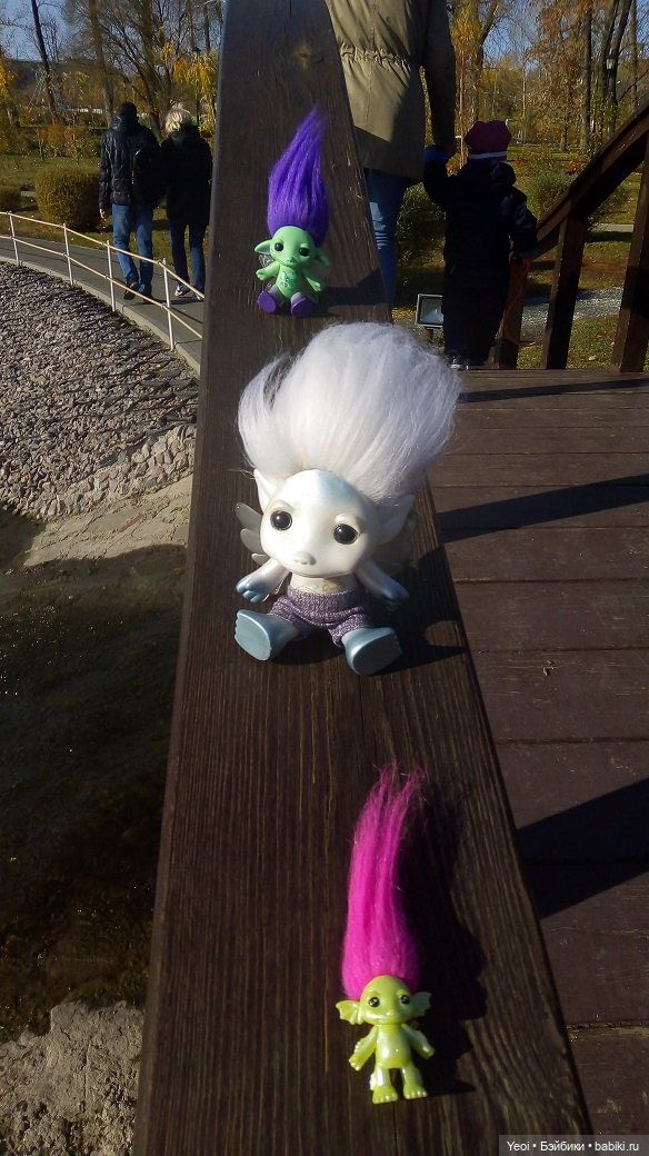 Солнечное утро и прогулка с зельфами. Zelfs