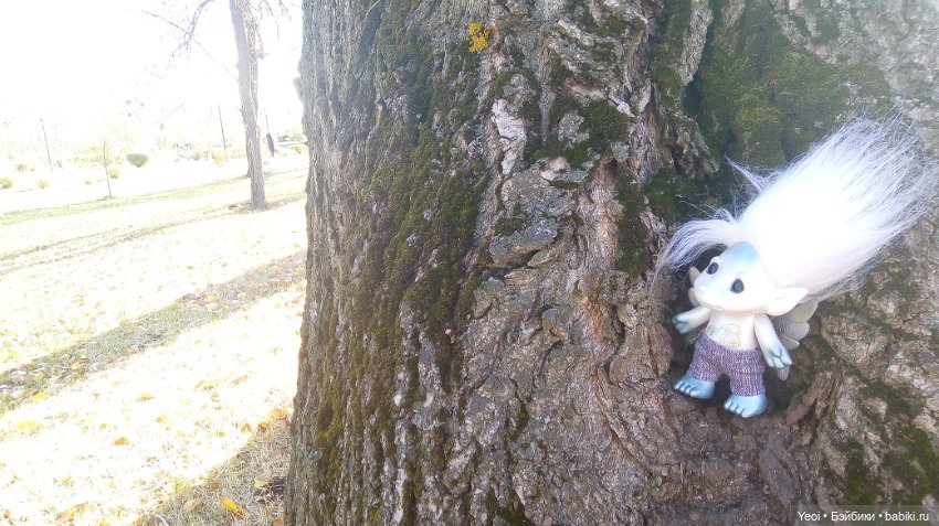 Солнечное утро и прогулка с зельфами. Zelfs