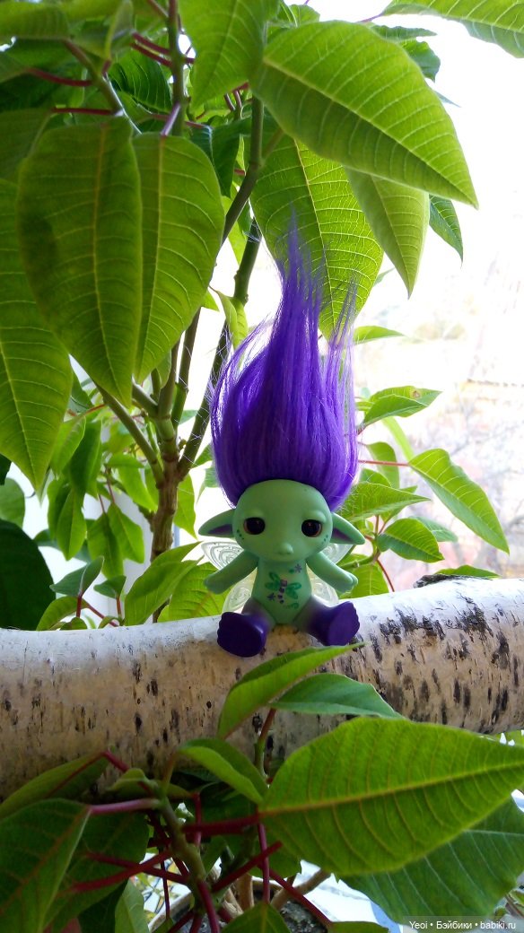 Солнечное утро и прогулка с зельфами. Zelfs (фото 4)