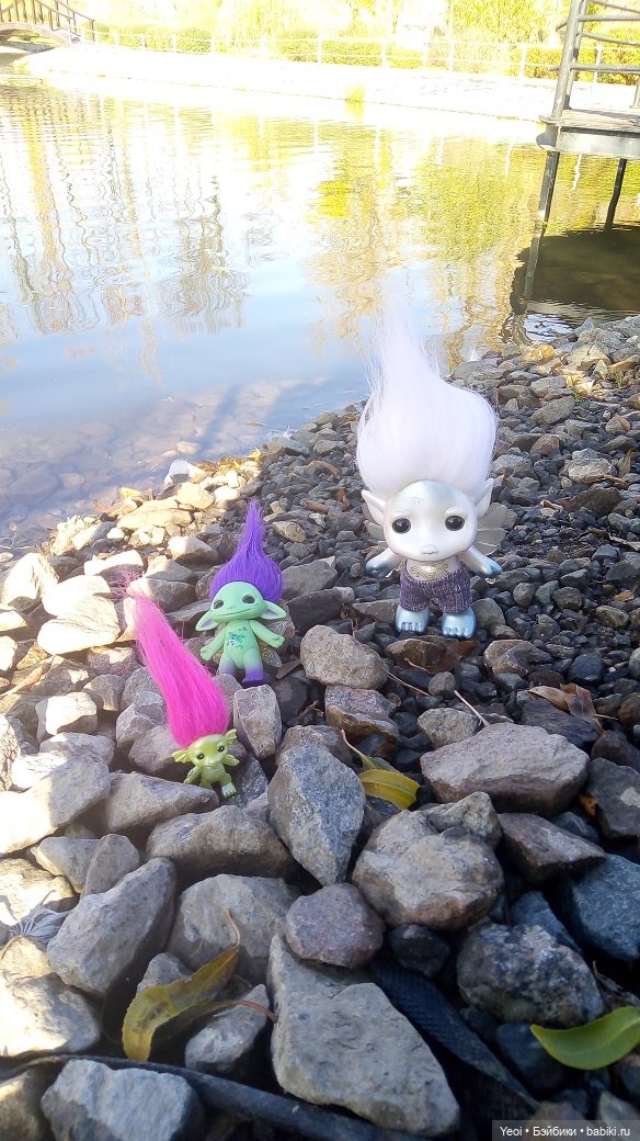 Солнечное утро и прогулка с зельфами. Zelfs