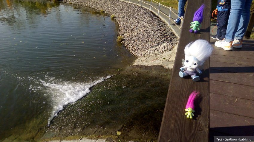 Солнечное утро и прогулка с зельфами. Zelfs