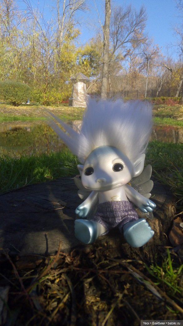 Солнечное утро и прогулка с зельфами. Zelfs