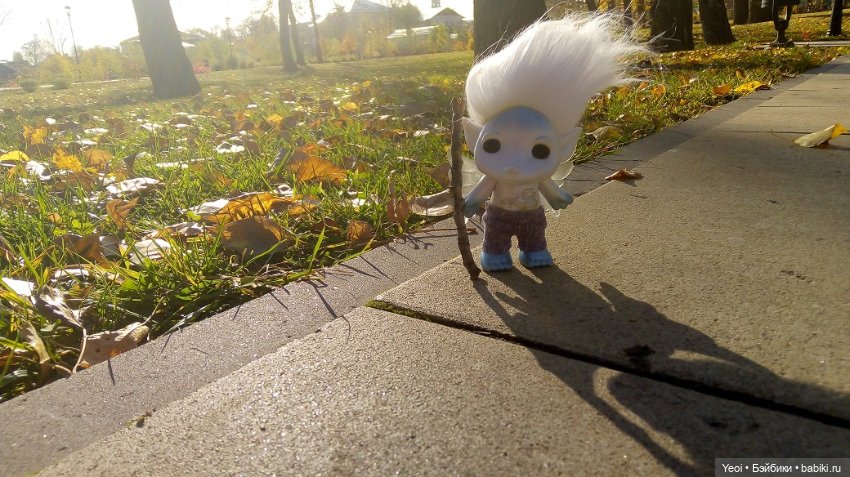 Солнечное утро и прогулка с зельфами. Zelfs