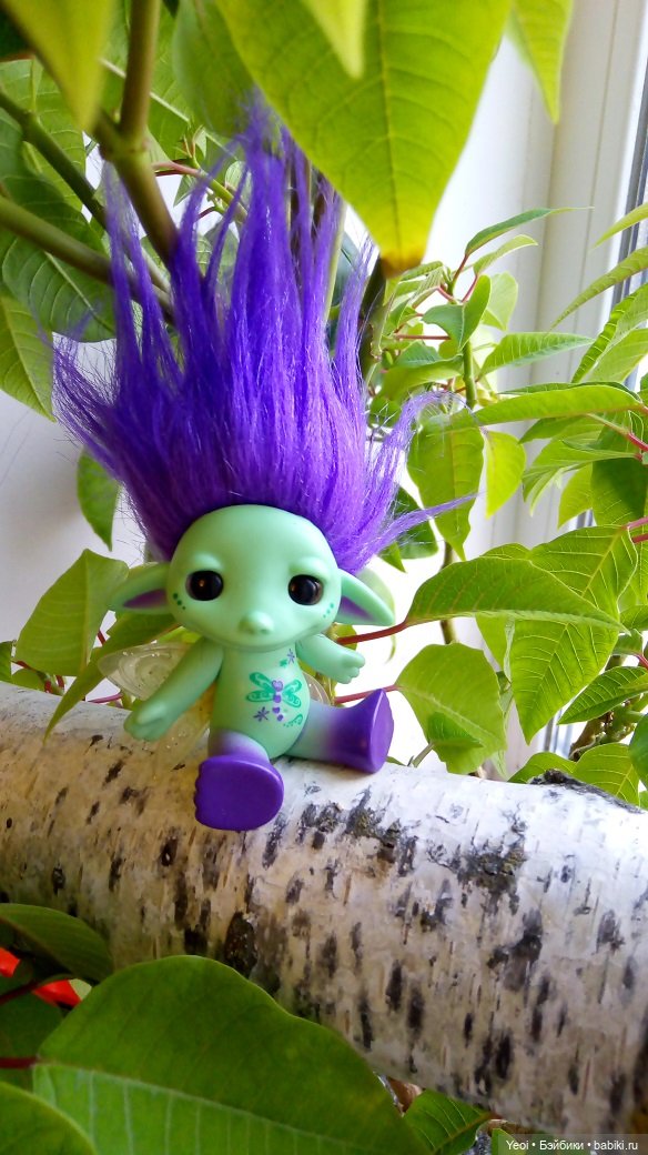 Солнечное утро и прогулка с зельфами. Zelfs (фото 5)