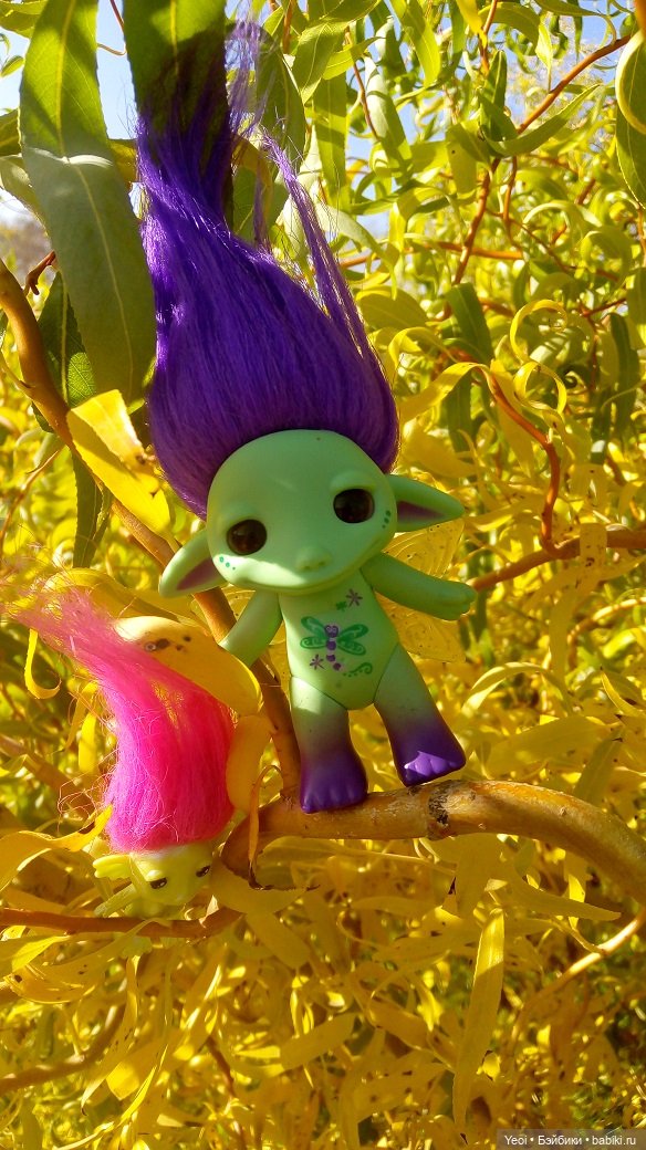 Солнечное утро и прогулка с зельфами. Zelfs (фото 9)