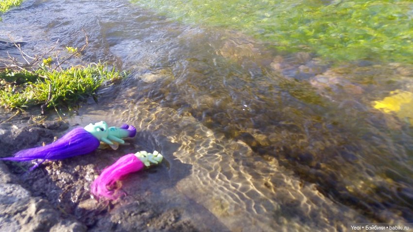 Солнечное утро и прогулка с зельфами. Zelfs