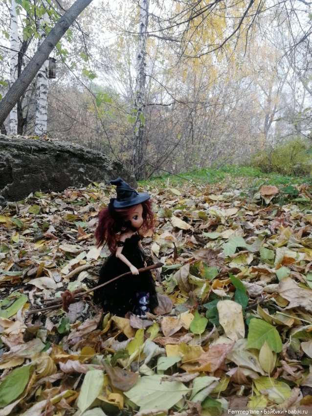 Поговорим о ведьмочках — Аниме куклы (MJD/Винил): Imomo (фото 9)