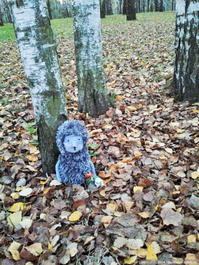 Ежик в осеннем лесу — Вязаные игрушки и амигуруми: крючком (фото 7)