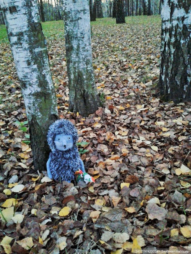 Ежик в осеннем лесу — Вязаные игрушки и амигуруми: крючком (фото 8)