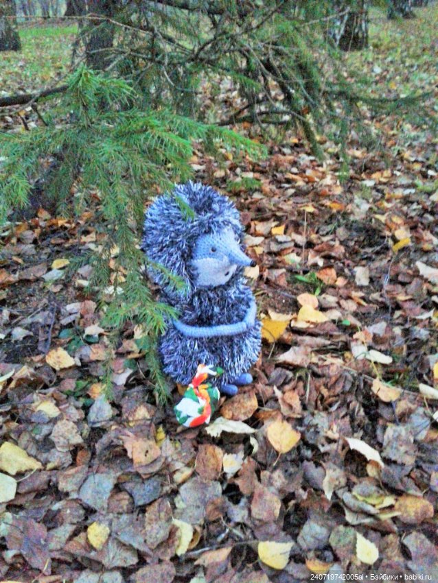 Ежик в осеннем лесу — Вязаные игрушки и амигуруми: крючком