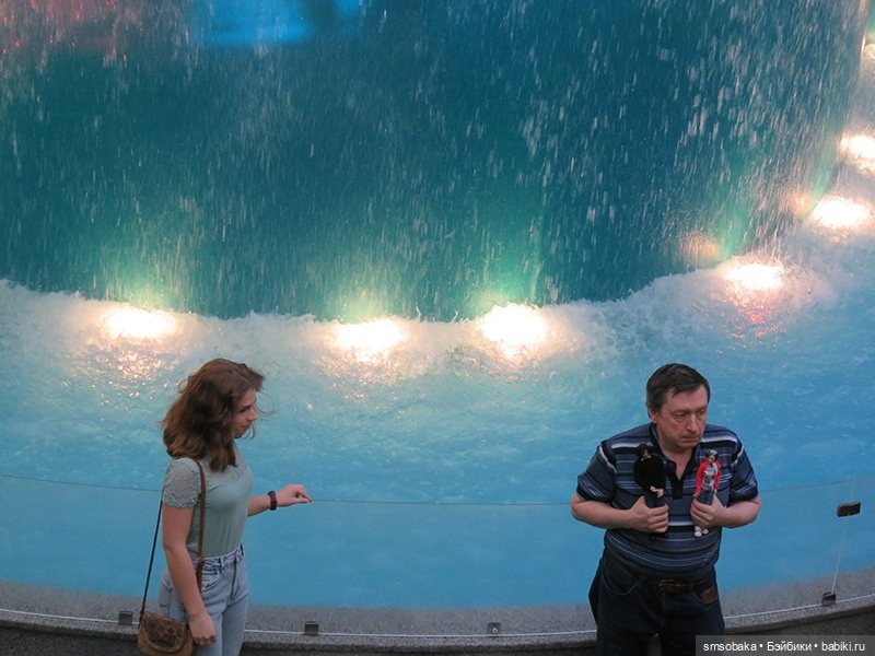 Мой муж не стесняется моих кукол на людях. (Остров мечты)