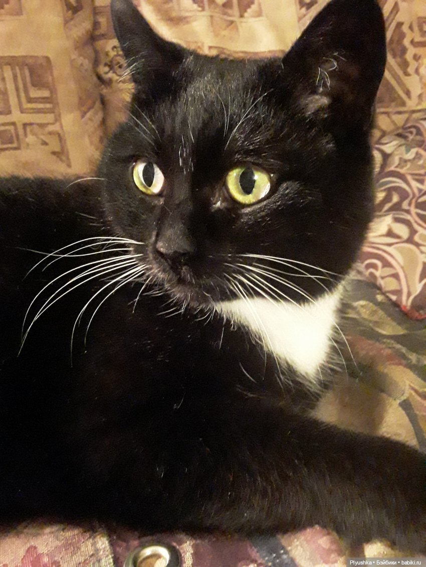 Наша Хэллоуинская фотосессия (фото 5)