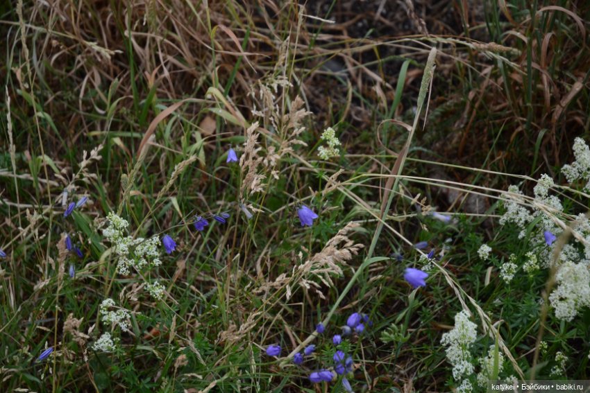 Твой Внутренний Неформал (постконкурс) (фото 8)