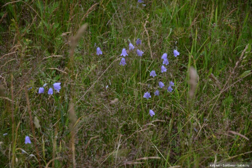 Твой Внутренний Неформал (постконкурс) (фото 7)