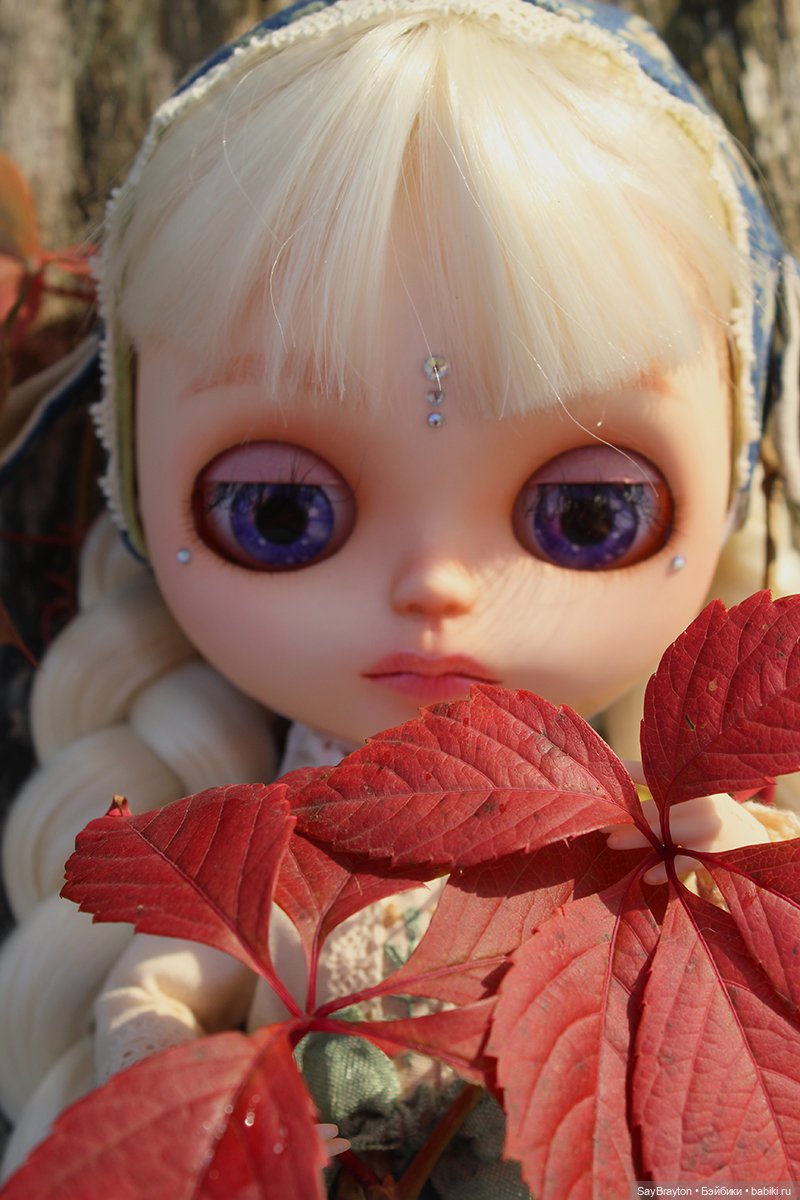 Теплая осень — Разные шарнирные куклы (не БЖД): редкие (фото 4)
