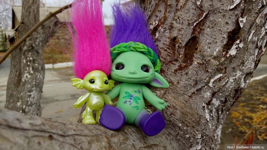 Солнечное утро и прогулка с зельфами. Zelfs