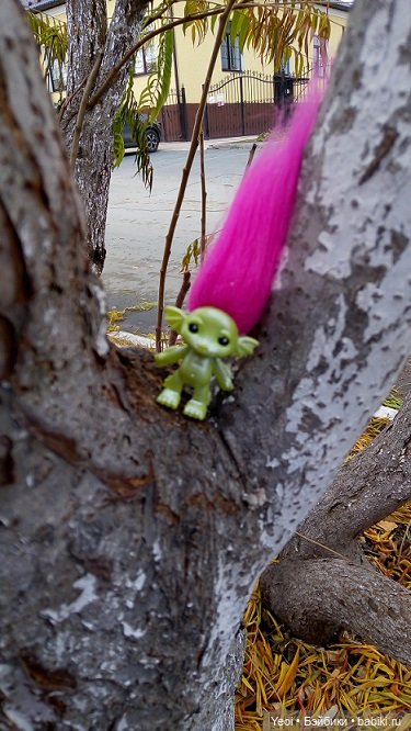 Солнечное утро и прогулка с зельфами. Zelfs