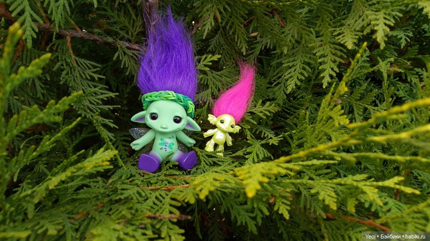 Солнечное утро и прогулка с зельфами. Zelfs