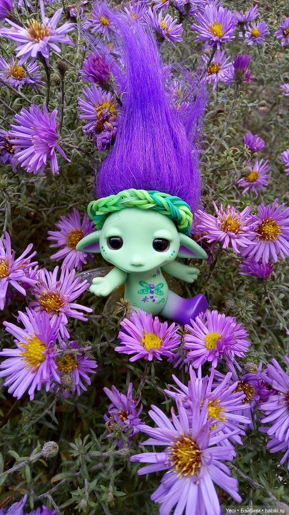 Солнечное утро и прогулка с зельфами. Zelfs