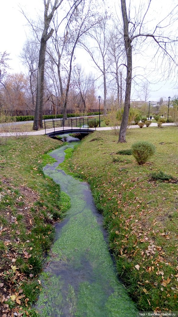 Солнечное утро и прогулка с зельфами. Zelfs