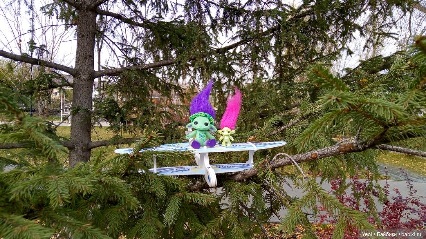 Солнечное утро и прогулка с зельфами. Zelfs