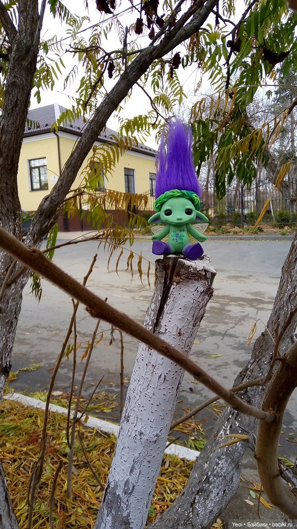 Солнечное утро и прогулка с зельфами. Zelfs