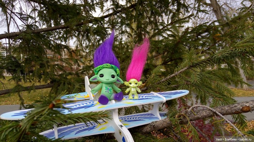 Солнечное утро и прогулка с зельфами. Zelfs