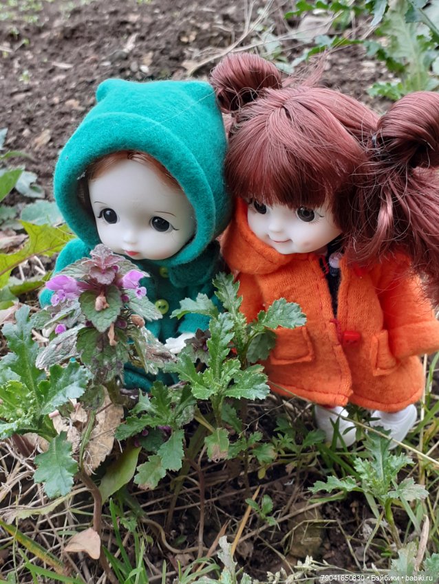 Маргоша и Ляля на прогулке (фото 5)