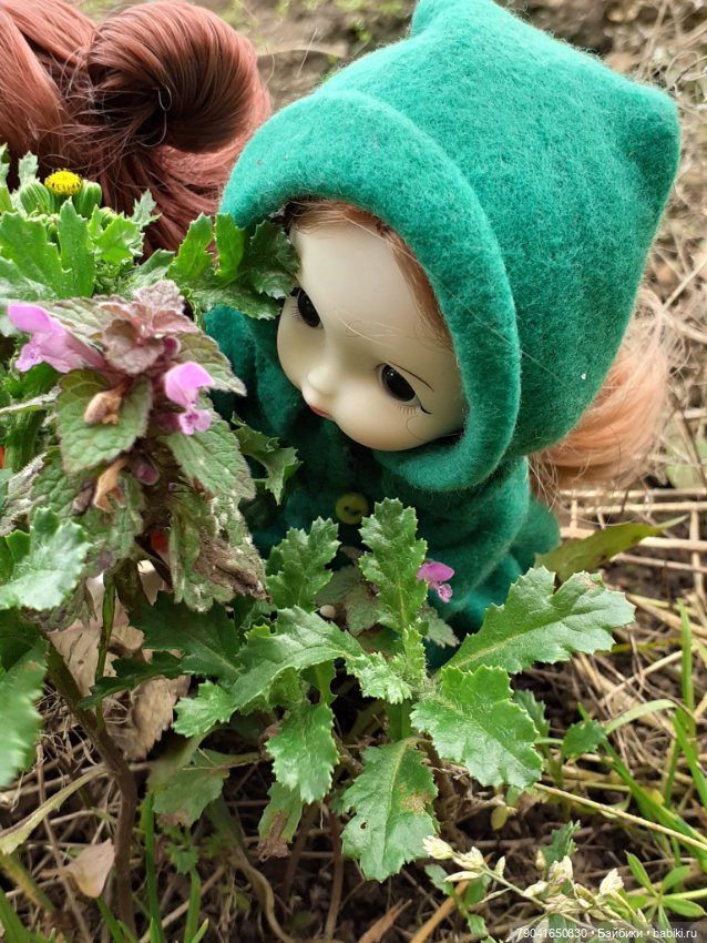 Маргоша и Ляля на прогулке (фото 4)