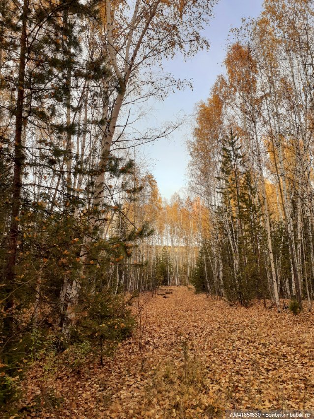 Яся в лесу — Куклы Baboliy (Баболи (фото 7)