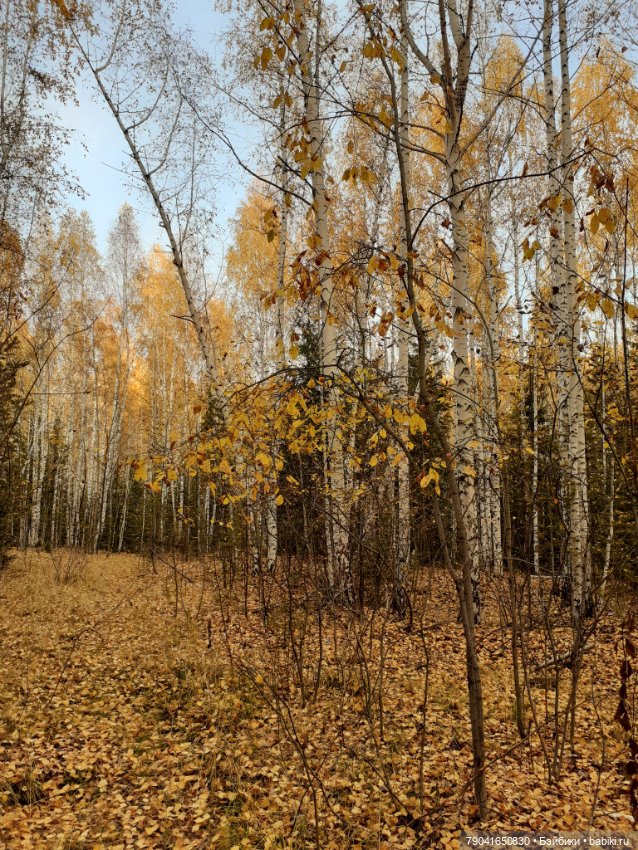 Яся в лесу — Куклы Baboliy (Баболи (фото 6)