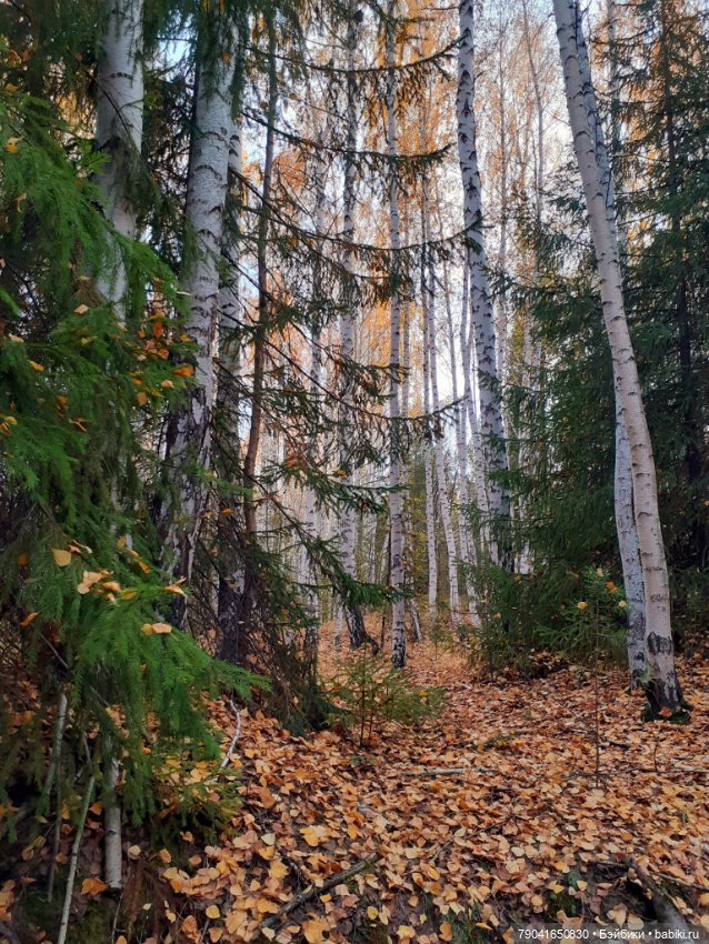Яся в лесу — Куклы Baboliy (Баболи (фото 3)