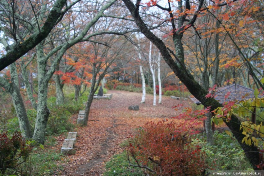 Момидзи — Туризм и путешествия: фотоотчеты из поездок (фото 10)