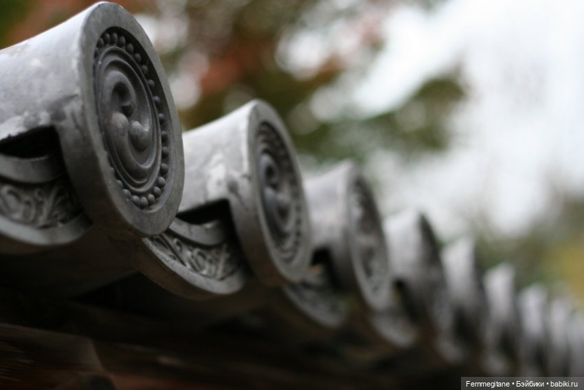 Момидзи — Туризм и путешествия: фотоотчеты из поездок