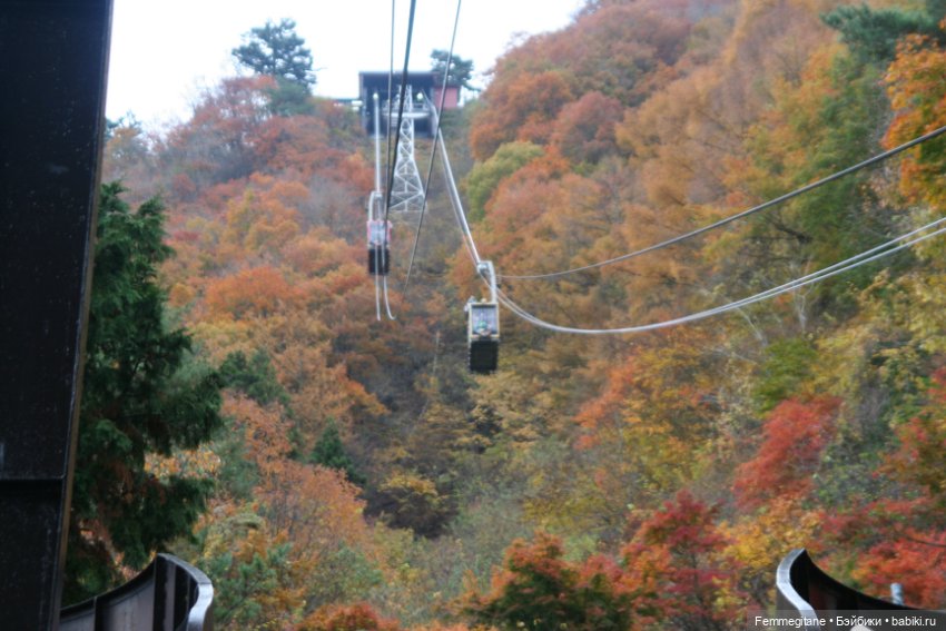Момидзи — Туризм и путешествия: фотоотчеты из поездок