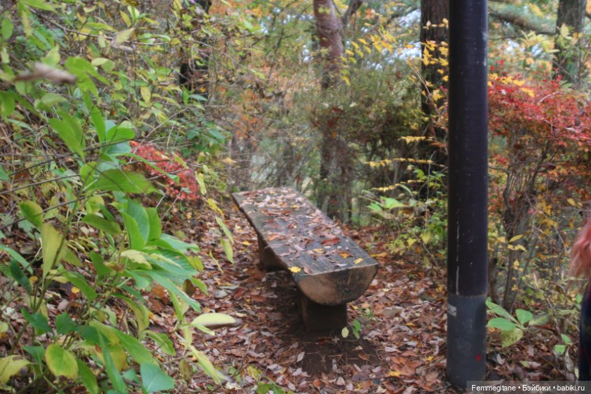 Момидзи — Туризм и путешествия: фотоотчеты из поездок