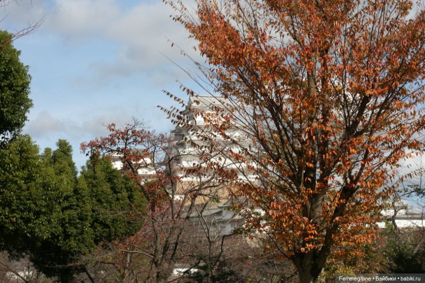 Момидзи — Туризм и путешествия: фотоотчеты из поездок