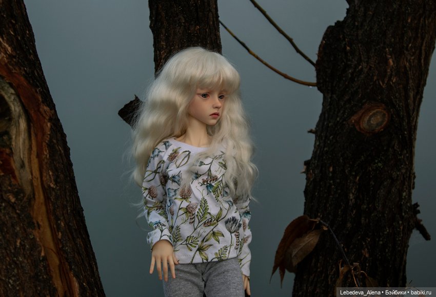 Туманная осень — Куклы Dollstown (Доллстаун): BJD (БЖД) (фото 4)