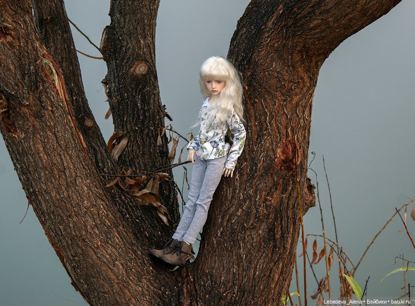 Туманная осень — Куклы Dollstown (Доллстаун): BJD (БЖД) (фото 3)