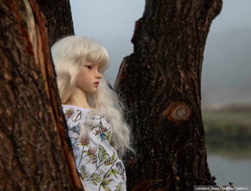 Туманная осень — Куклы Dollstown (Доллстаун): BJD (БЖД) (фото 5)