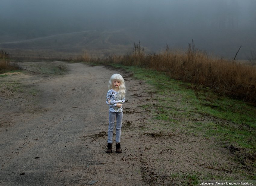 Туманная осень — Куклы Dollstown (Доллстаун): BJD (БЖД) (фото 2)