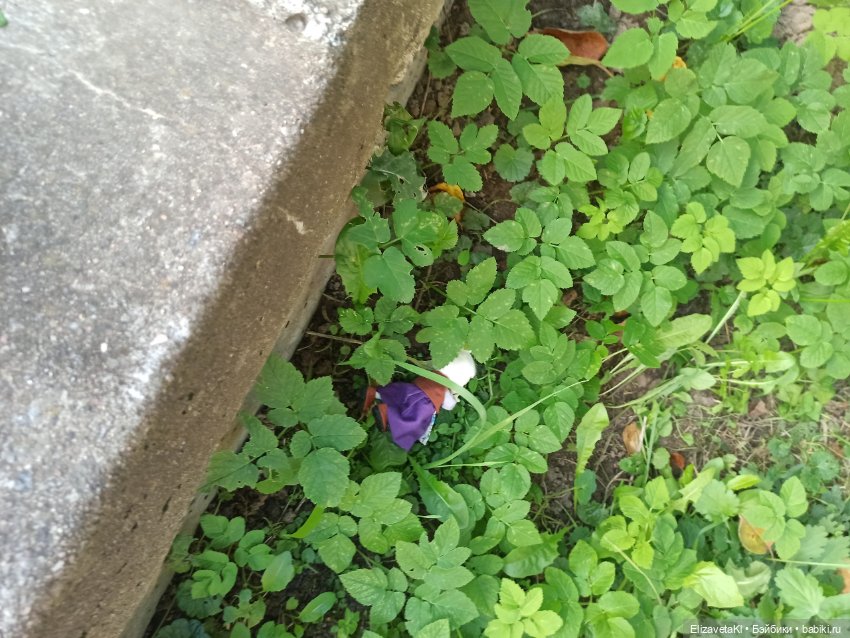 Сказка про Белоснежку и 7 гномов. Realpuki. 110 часть