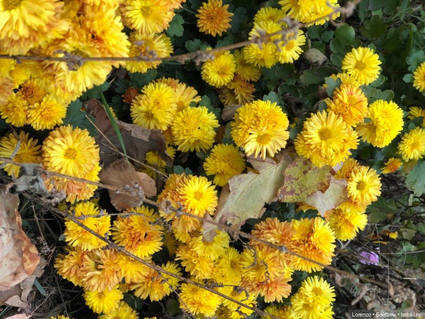 Солдат в самоволке — Винтажные куклы ГДР (Немки): Бигги