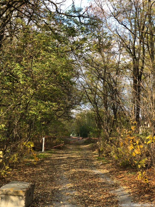 Солдат в самоволке — Винтажные куклы ГДР (Немки): Бигги