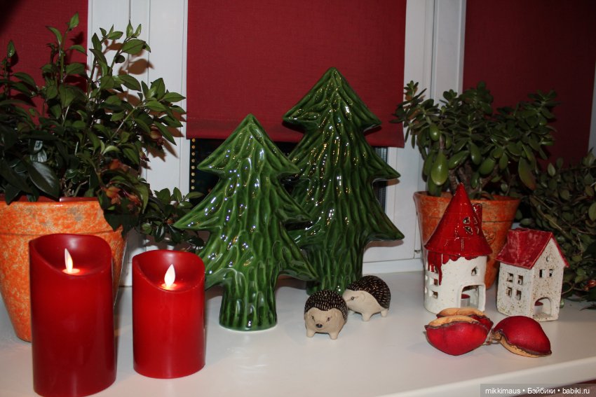 Есть ли жизнь на подоконнике (фото 3)