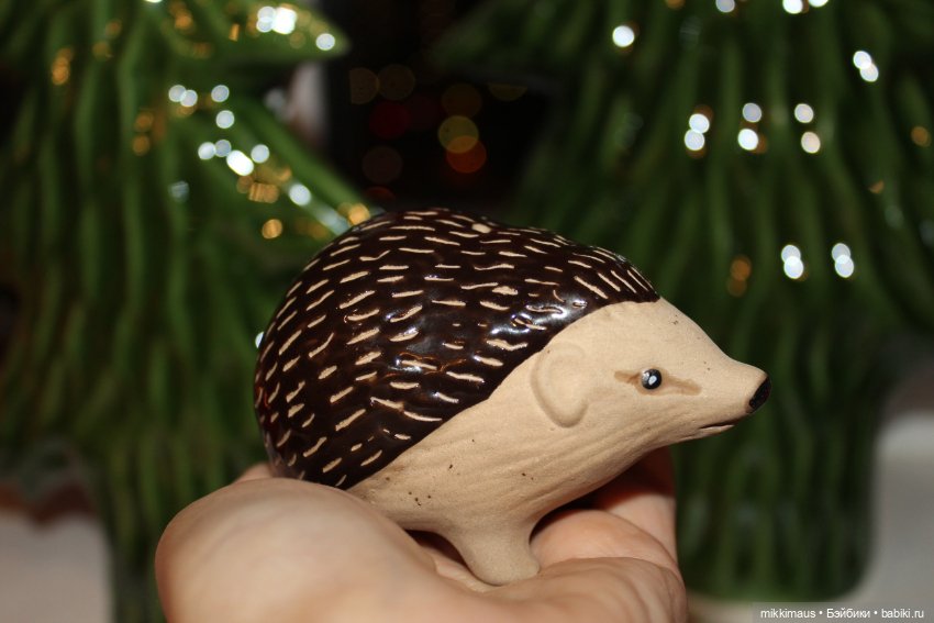 Есть ли жизнь на подоконнике (фото 6)