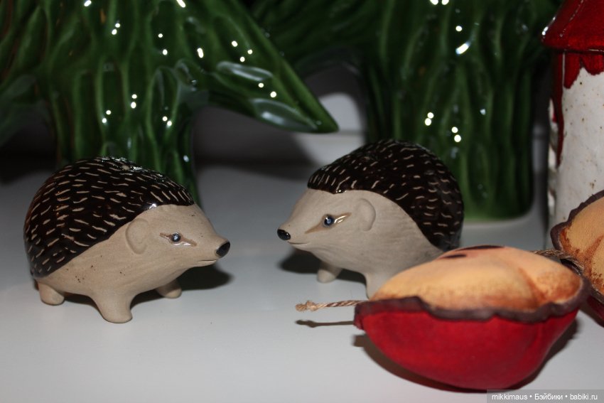 Есть ли жизнь на подоконнике (фото 9)